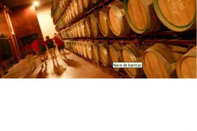 Pasea por bodegas centenarias, modernas, familiares...